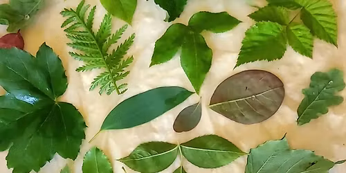 Ecoprinting for Beginners 