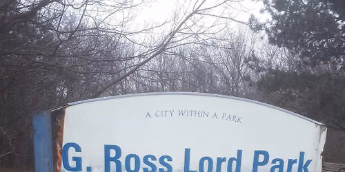 Our Parks, Our Voice: Community & Civic Engagement