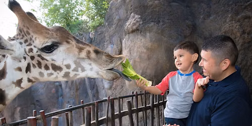 Father\u2019s Day at Houston Zoo