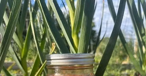 Kimchi-Making Class
