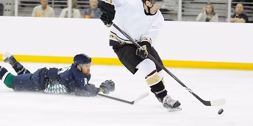 TBD at Atlanta Gladiators - ECHL Kelly Cup Finals (Home Game 2)