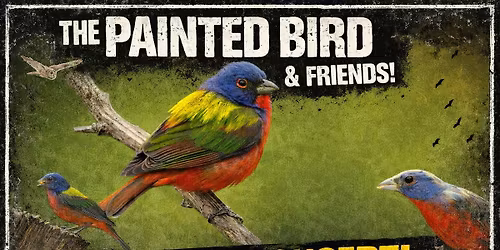 Millbury OTI with The Painted Bird and Friends!