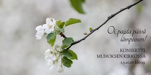 Oi, paista p\u00e4iv\u00e4 l\u00e4mp\u00f6inen!