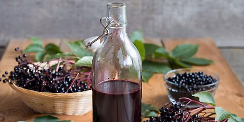 The Happy Natural Mama: Elderberry Class with Danielle Hamilton