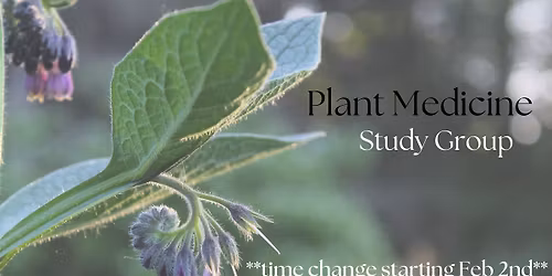 Plant Medicine Study Group