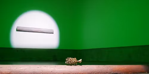 Performance de Cl\u00e9o Totti \u00ab Sculpter l\u2019espace \u00bb