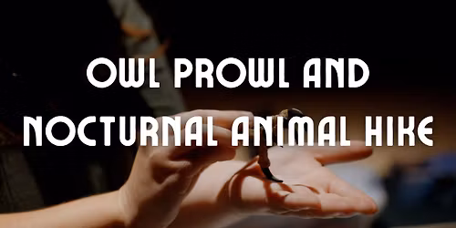 Owl Prowl