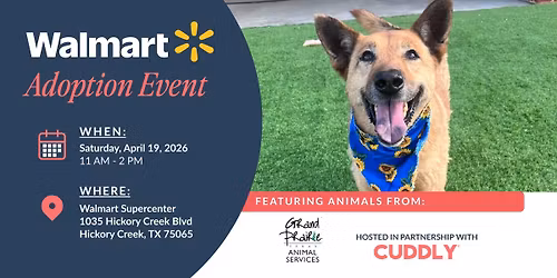Walmart Adoption event| Grand Prairie TX