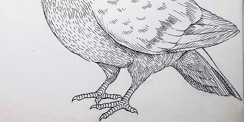 Go Flock Yourself