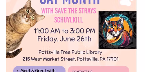Adopt a Shelter Cat Month with Save the Strays Schuylkill