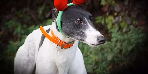 Fundraising stall at St. George's Church Xmas Fair