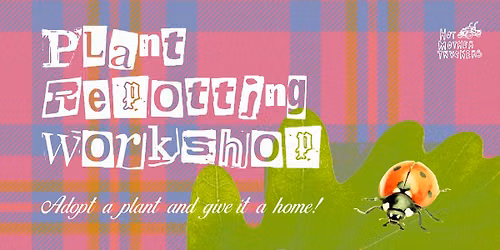 hotmothertruckers hangouts: plant repotting workshop