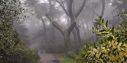 Haunted Hike at Buena Vista Park