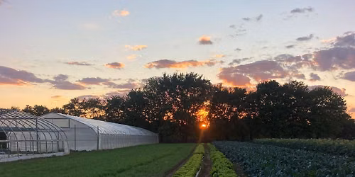 July Field Walk