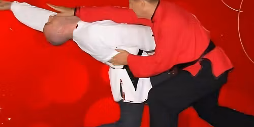 Introducing SHIFU Maurizio Zanetti