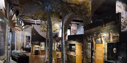 Tour of Lives in our Landscape Gallery