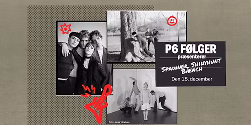 P6 F\u00f8lger pr\u00e6senterer: Spawner - Shinyhunt - B\u00c6NCH