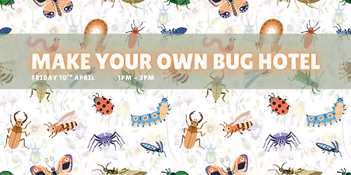 Make Your Own Bug Hotel