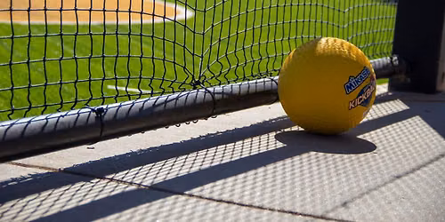 5th Annual Kicking Lupus to the Curb Kickball Tournament