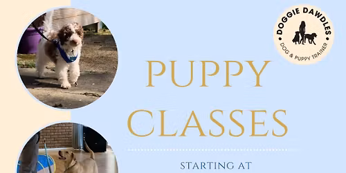 Puppy Classes