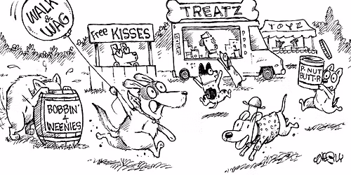 Walk & Wag and Run 2026