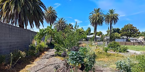 Winter Fruit Tree Pruning