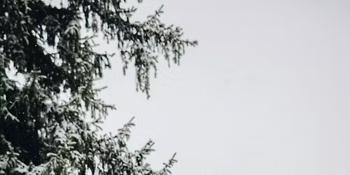 Christmas Customs- Johnstown Camera Club Meeting