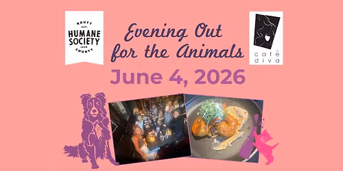 Evening Out for the Animals