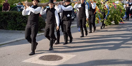 M\u00e1jusfa\u00e1ll\u00edt\u00e1s 