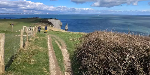Jurassic Express (Swanage) Hiking Trail 2026