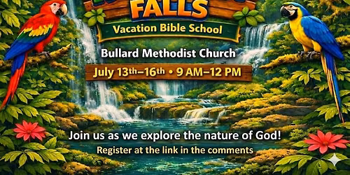 Vacation Bible School Rainforest Falls! 
