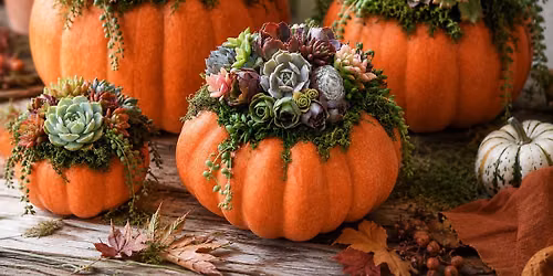 The Great Pumpculent Workshop