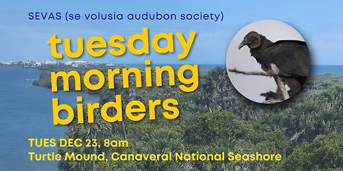 SEVAS Tuesday Morning Bird Walk: Turtle Mound