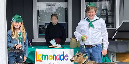 \ud83c\udf4bLemonade & Pygmy Goats