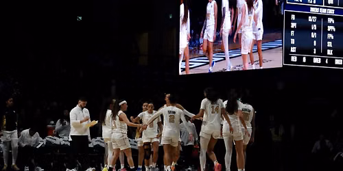 Vanderbilt Commodores Women's Volleyball vs. Auburn Tigers