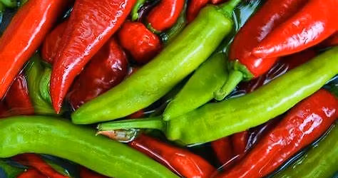 Montgomery Lions Club Chili Cook-off 2025