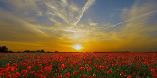 Swadlincote Poppy Appeal