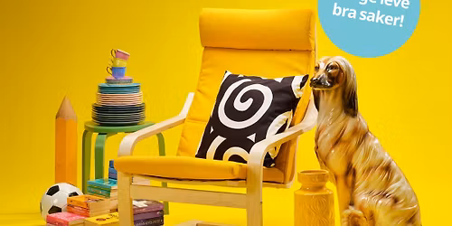 IKEA Ume\u00e5s stora bakluckeloppis