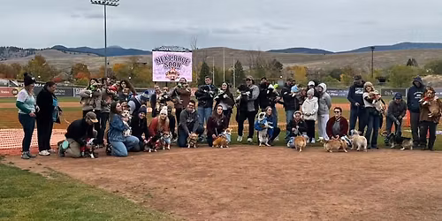 Corgi Meetup! 