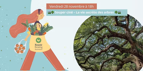 \ud83c\udfac\ud83c\udf33 Souper cin\u00e9 - "La vie secr\u00e8te des arbres" \ud83c\udf33\ud83c\udfac