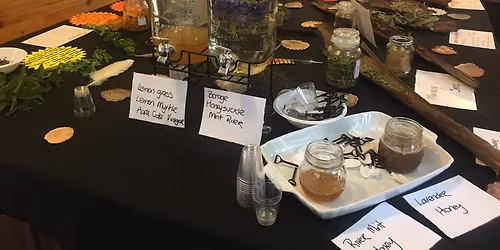 Last workshop for the year !! Introduction to Bush Medicine. Beginners Welcome