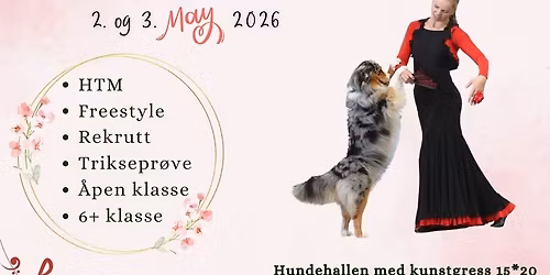 Stevne i KREATIV LYDIGHET "DANSENDE POTER"