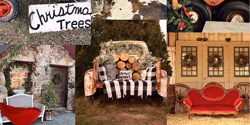 Christmas Mini Sessions \ud83e\udd0e