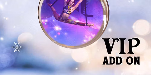 Cirque Musica - Holiday Wonderland at Harris Center Folsom - Stage One