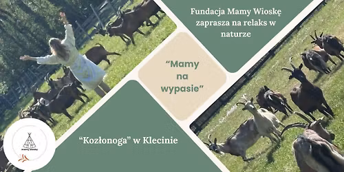 "Mamy na wypasie"