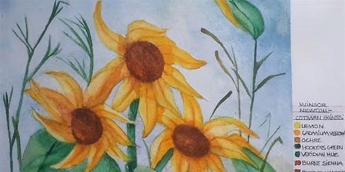 Summer Watercolour Workshop