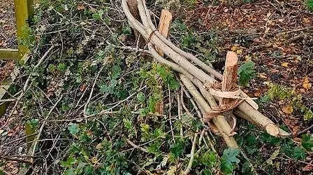 Hedge Laying Workshop