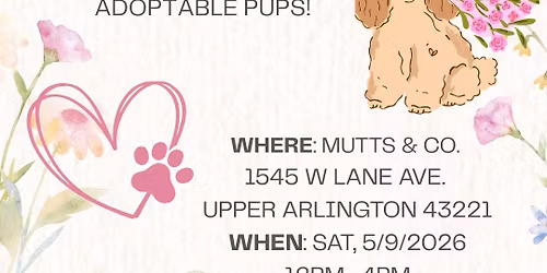 Adoption Event