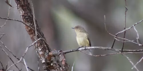 Walunga National Park - morning excursion