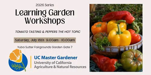 Learning Garden Workshop: TOMATO TASTING & PEPPERS THE HOT TOPIC